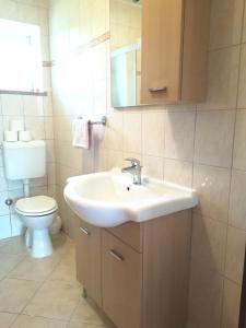 łazienka z umywalką i toaletą w obiekcie Apartment Toncic w mieście Benažići