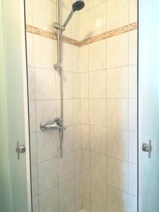 prysznic z głowicą prysznicową w łazience w obiekcie Apartment Toncic w mieście Benažići