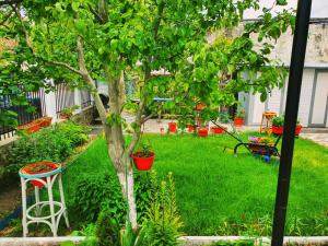 a garden with a tree and a stool at Casa Razvan Vama Veche in Vama Veche +37 photos
