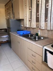 a kitchen with a sink and a refrigerator at Savvas Apartments in Plytra +89 photos