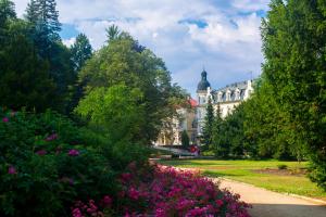 Vonkajšia záhrada v ubytovaní Villa Dagmar