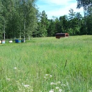 a field of grass with a smallshed in the background at Lauku māja Riesti 