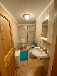 uma casa de banho com um lavatório, um chuveiro e um WC. em Dolomites Charme Chalet em Colle Santa Lucia