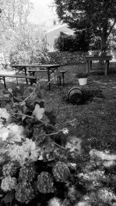 La dimora di Nonno Nuccio في راغوزا: طاولة نزهة ومقعد في حديقة مع الزهور