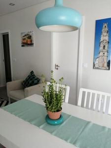 una habitación con una mesa con una maceta. en Vivenda Mendes 2 en Vila Nova de Famalicão