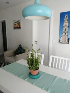 a room with a table with a potted plant on it at Vivenda Mendes 2 in Vila Nova de Famalicão +27 photos