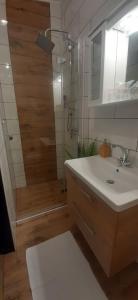 Kúpeľňa v ubytovaní VILLA MARIA Požega