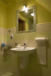 a bathroom with a sink and a mirror at Pokoje gościnne Helena in Kudowa-Zdrój