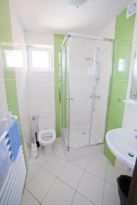 a bathroom with a shower and a toilet and a sink at Willa KAMA in Karwia