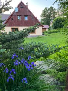Zahrada ubytování Chaloupka Harrachov