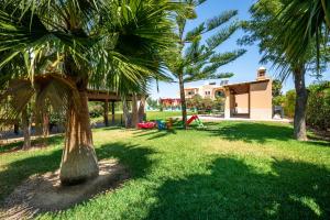 una palmera en el patio de una casa en Apartamentos Monte dos Avós, Albufeira by AlgarveBlossom, en Albufeira