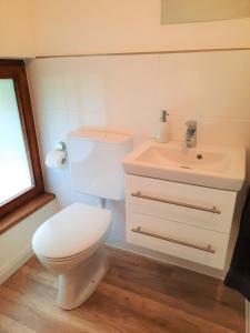 a bathroom with a white toilet and a sink at FeWo Forstvilla Beuron in Beuron