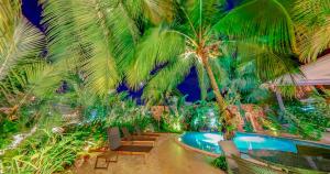 a resort with a swimming pool and palm trees at Amazon Plaza Hotel in Cuiabá