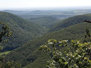 Príroda v okolí apartmánu