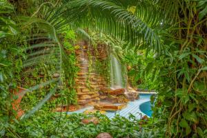 a water slide in a garden with a waterfall at Amazon Plaza Hotel in Cuiabá