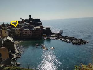 an aerial view of a harbor with boats in the water at Affittacamere Benedetta e Isabelle in Vernazza
