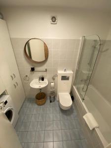a bathroom with a toilet and a sink and a mirror at Bizi Green - Zagreb South in Zagreb