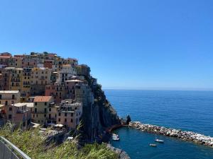 a town on a mountain with boats in the water at Casa Mafalda in Manarola