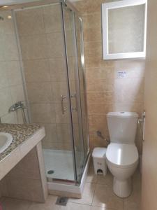a bathroom with a shower and a toilet and a sink at Villa Anna in Hanioti