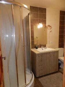 a bathroom with a shower and a sink at Cabana Festung in Bran