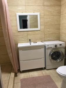 un bagno con lavandino e lavatrice di Апартаменты возле моря a Kryzhanivka
