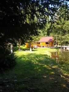 a house with a pond in front of it at Insolite Chalet de pêche Sérénité - Bien Etre in Ban-sur-Meurthe-Clefcy