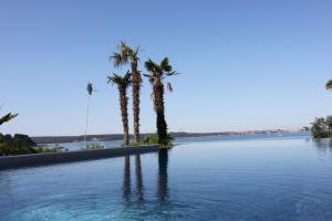 two palm trees in a large body of water at Portorož Apartments in Portorož