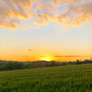 The sunrise or sunset as seen from a panziókat or nearby