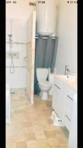 een badkamer met een toilet, een douche en een wastafel bij Maisonnette presqu ile de Giens in Hyères