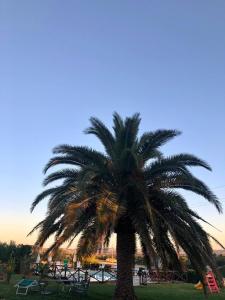 A garden outside Fontebella