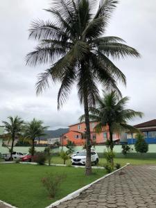 eine Palme in einem Park neben einem Gebäude in der Unterkunft Casa 8 condomínio Angra mambucaba in Angra dos Reis