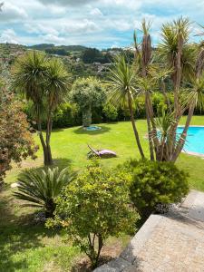 un jardín con palmeras y una piscina en quarto familiar zona guimaraes en Guimarães