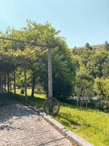 Příroda nedaleko bed and breakfast