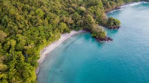 an aerial view of a beach with trees and water at Los Altos Resort in Manuel Antonio