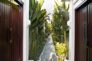 a hallway of a house with a bunch of plants at My Villas In Bali in Seminyak