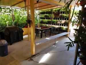 a greenhouse with a bench and a table with plants at Sunlit Waters Studio Apartments in Airlie Beach
