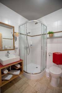 a bathroom with a shower and a toilet and a sink at Átrium Rooms & Café in Sopron