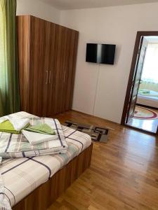 a bedroom with a bed with a television and a mirror at Casa Teodora in Baile Felix