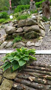 a rock garden with a plant on top of it at Greizer Kammhütte Gaststätte & Pension in Klingenthal