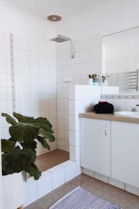 a white bathroom with a sink and a plant at 27 Degrees Kalbarri in Kalbarri +18 photos