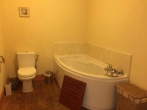 a bathroom with a bath tub and a toilet at Le Chai Gite in Saint-Pierre-de-Côle +7 photos