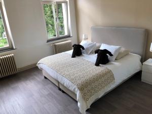 Afbeelding uit fotogalerij van Villa les Tamaris in Spa +20 foto's