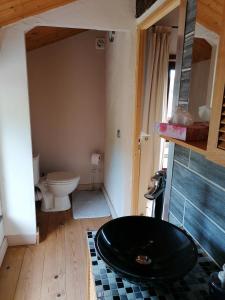 a bathroom with a toilet and a black sink at Couettes et Picotin in Durbuy