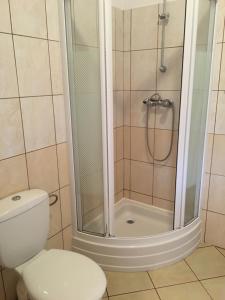 a bathroom with a shower with a toilet and a shower at Dom pod Białym Pagajem in Pisz