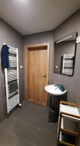 a bathroom with a sink and a wooden door at Penzion Nový Svět in Krásno