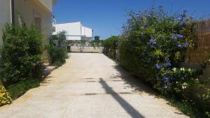 Zahrada ubytování Marea Sicula Home