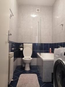 La salle de bains est pourvue de toilettes, d'une baignoire et d'un lavabo. dans l'établissement Apt Ana, à Banja Luka