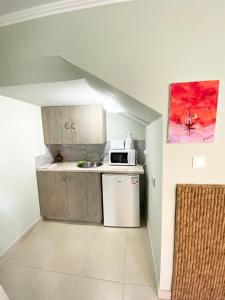 uma pequena cozinha com um lavatório e um micro-ondas em Livia’s Appartments em Pafos