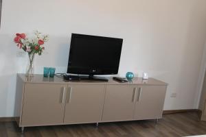 a television on a cabinet with a vase of flowers at STUDIO TURQUOISE Victoria in Bucharest