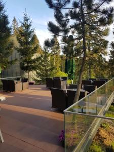 Zahrada ubytování Complex Hotelier COTA O MIE